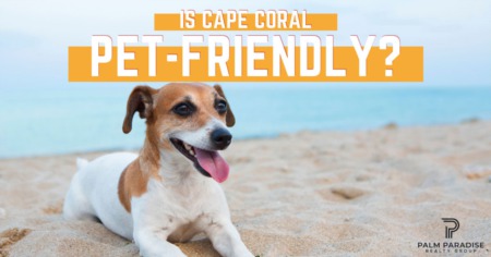 Cape Coral Dog Parks: How Dog-Friendly is Cape Coral, FL?