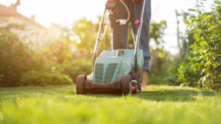 Helpful Tips for Landscaping Your Yard This Spring