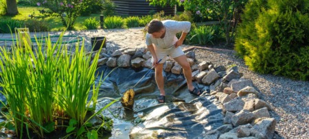 Landscaping 101: Pond Maintenance Tips You Need To Know