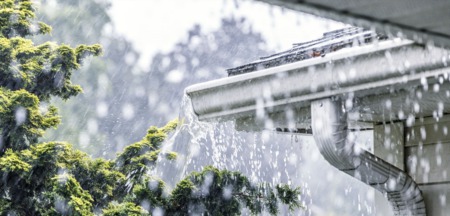 Protecting Your Home from Water Damage: Cleaning Your Gutters