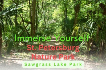 Sawgrass Lake Park in St. Petersburg 33702