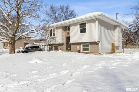 Wintertime Homes For Sale Around the Quad Cities