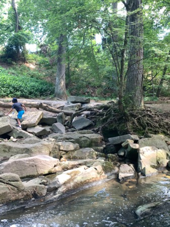 A Creek with Rocks? We're there!