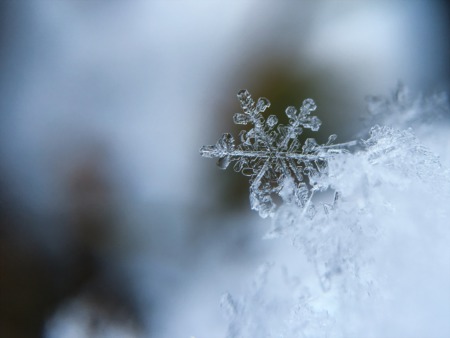 Awesome Things To Do Indoors in Northern Virginia