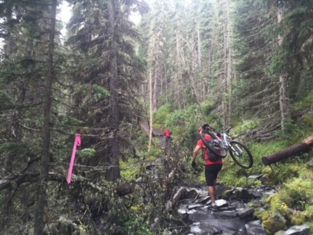 The Trails in Canmore are Calling! Our Favourite Run and Bike Trails Around Town