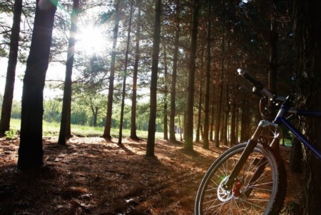 Breckenridge Mountain Biking For Beginners: Best Places to Ride