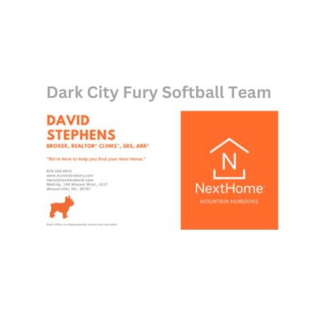 Dark City Fury Travel Softball 16U Welch Team