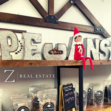 Las Cruces Real Estate | Zeke | Legacy Pecans