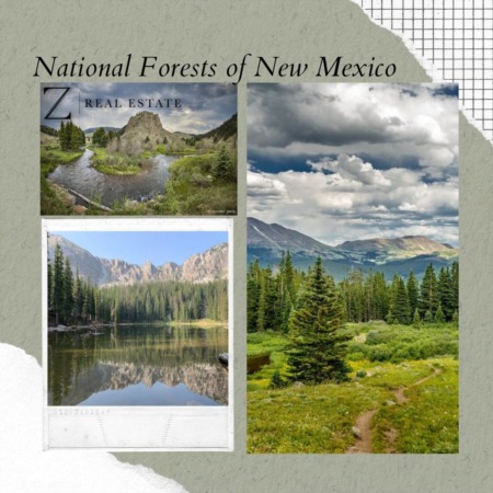 Las Cruces Real Estate | Historical Fact - National Forests of New Mexico