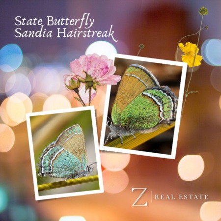 Las Cruces Real Estate | Historical Fact - Sandia Hairstreak