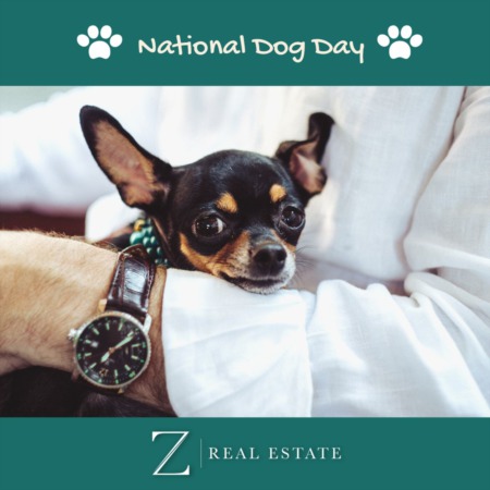 National Dog Day | Las Cruces Real Estate