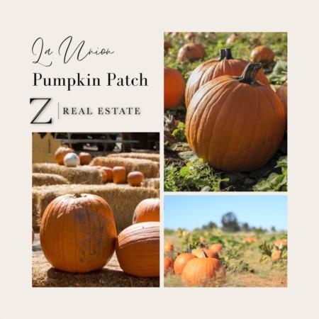 Las Cruces Real Estate | Local Business - La Union Pumpkin Patch