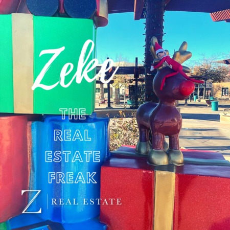 Las Cruces Real Estate | Zeke | Plaza Downtown