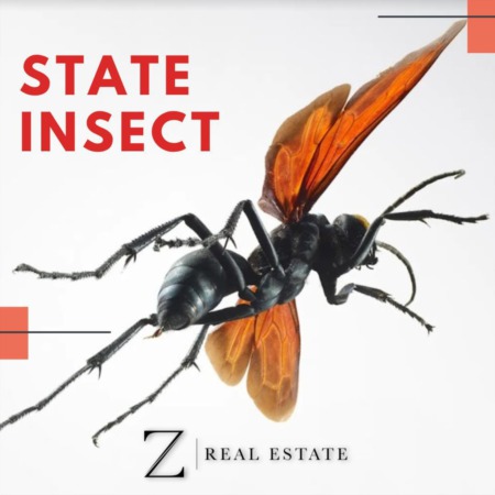 Las Cruces Real Estate | Historical Fact - State Insect