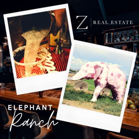 Las Cruces Real Estate | Local Business - Elephant Ranch