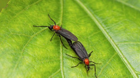 Love Bugs Mean Cooler Weather Is On Its Way - Hurry UP