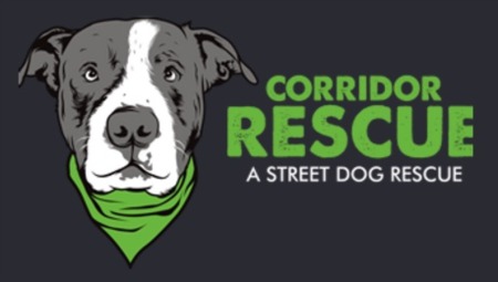 Donate to Corridor Rescue