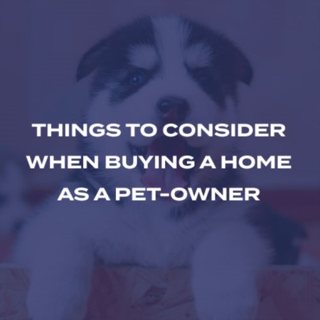 Things to Consider When Buying A Home As a Pet Owner