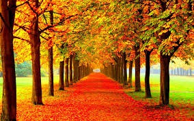 7 Tips to get your Home Ready for Fall