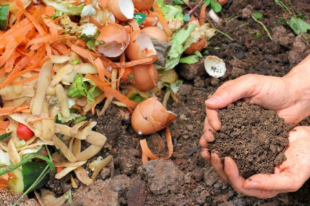 Composting 101: How to Compost at Home