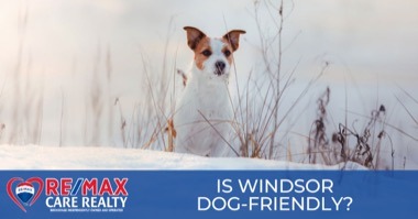Dogs Love Living in Windsor: Best Windsor Dog Parks, Pet-Friendly Restaurants & Shops