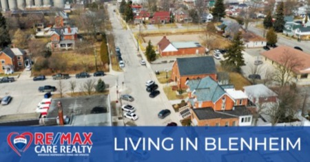 Is Blenheim a Good Place to Live? 9 Reasons You'll Love Moving to Blenheim