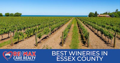 4 Towns with the Best Wineries in Essex County ON: Find a New Favourite Bottle