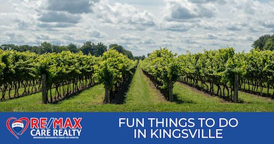 5 Fun Things to Do in Kingsville: Explore the Best Wineries, Beaches & Shops in Kingsville