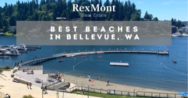 7 Best Beaches in Bellevue WA: Where to Live Near Bellevue's Beaches