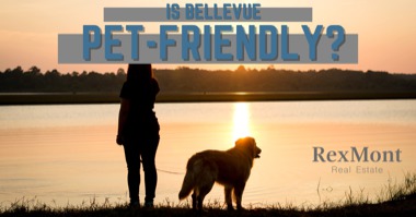 Is Bellevue Dog Friendly? Best Bellevue Dog Parks & Pet-Friendly Things to Do