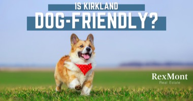 Is Kirkland Dog Friendly? 5 Kirkland Dog Parks & Fun Places to Take Your Dog
