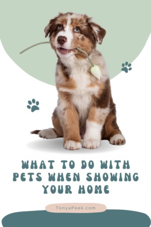 What To Do With Pets When Showing Your Home