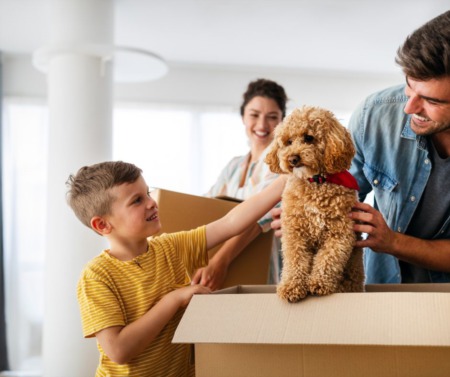 Helpful Tips For Moving With A Pet