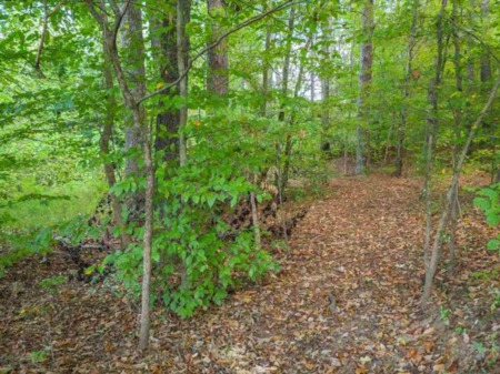 Land for Sale Madison County TN