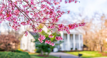This Spring Presents Sellers with a Golden Opportunity