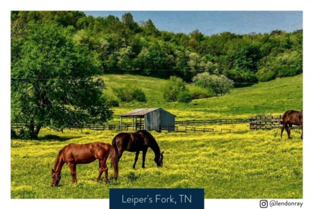 The Historic Luxurious Town of Leipers Fork,TN