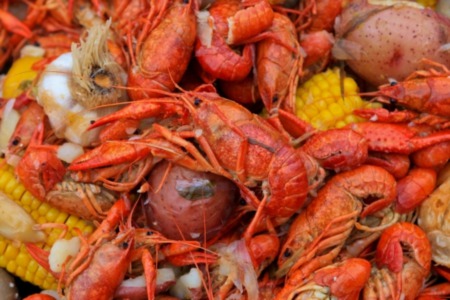From Crawfish to Tacos: Houston's Delicious Cuisine Lands on Travel + Leisure's Top 10 List