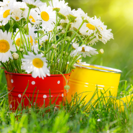 Spring is Coming - Here's How to Prepare Your Home