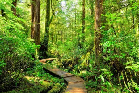 Summers on Vancouver Island -  Five fabulous places to visit on the Island