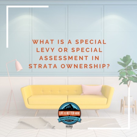 What Is A Special Levy Or Special Assessment In Strata Ownership?