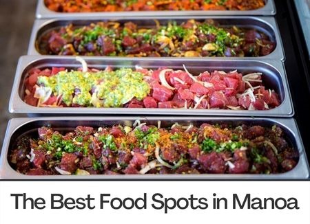 The Best Food Spots in Manoa