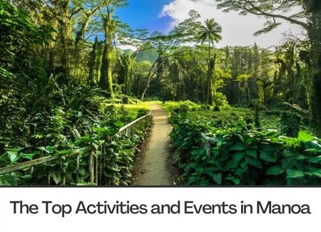 The Top Activities and Events in Manoa