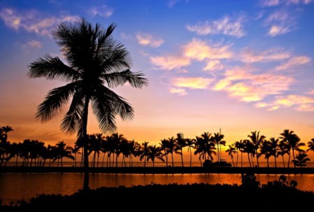 THE BEST FARMER’S MARKETS ON THE BIG ISLAND