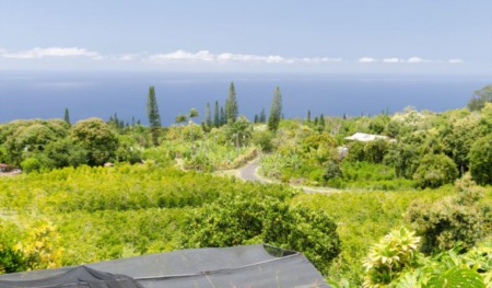 FOUR KONA REAL ESTATE FIXER-UPPERS FOR PROJECT BUYERS