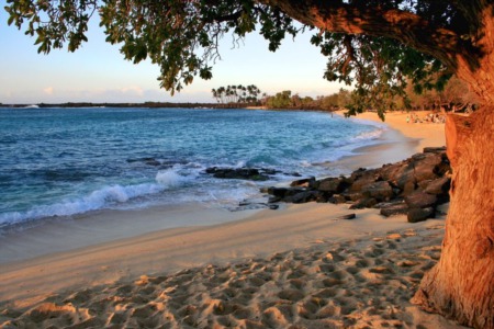 SECRET BEACHES OF THE BIG ISLAND
