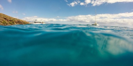 ENJOY WHALE WATCHING FROM YOUR BIG ISLAND HOME!