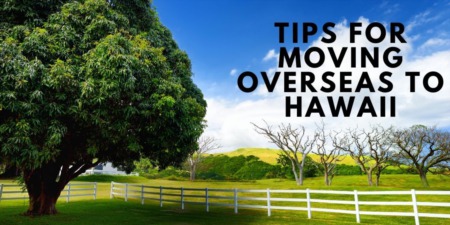 FIVE TIPS FOR MOVING TO HAWAII WITH PETS