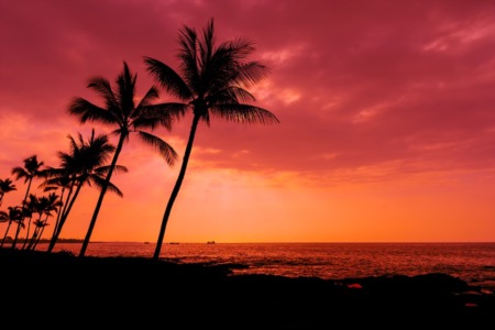 KAMEHAMEHA DAY – A HAWAIIAN AND BIG ISLAND TRADITION