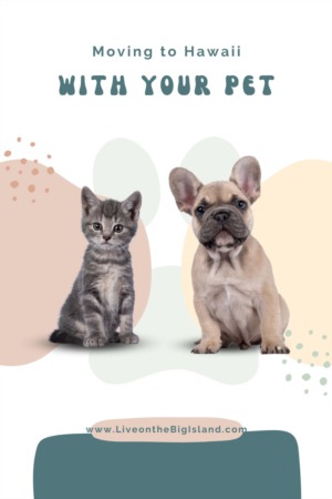 What You Need to Know About Moving to Hawaii with a Pet