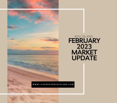 February 2023 Market Update on the Big Island